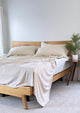 Bộ chăn ga gối | Jacquard Tencel | Trơn 60s | Ivory | 5 món | 160x200cm, 180x200cm, 200x220cm | Ivory vs White | Mềm mại, Kháng khuẩn, Thấm hút | OCTOBER BEDDING