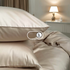 files/IMG-4064.png