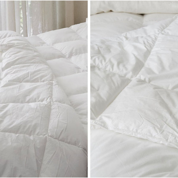 October Bedding Ruột mền Gòn Microfiber Nhập Khẩu